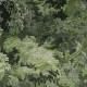Revestimiento textil Arte International Les Forêts Dioré 48010