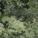 Les Forêts Dioré 48010 Revestimiento Arte