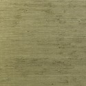 Osmanthus Kudzu 54530 Revestimiento Arte