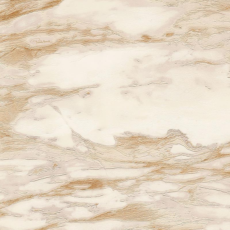 Papel pintado Roberto Cavalli nº 9 RC21024