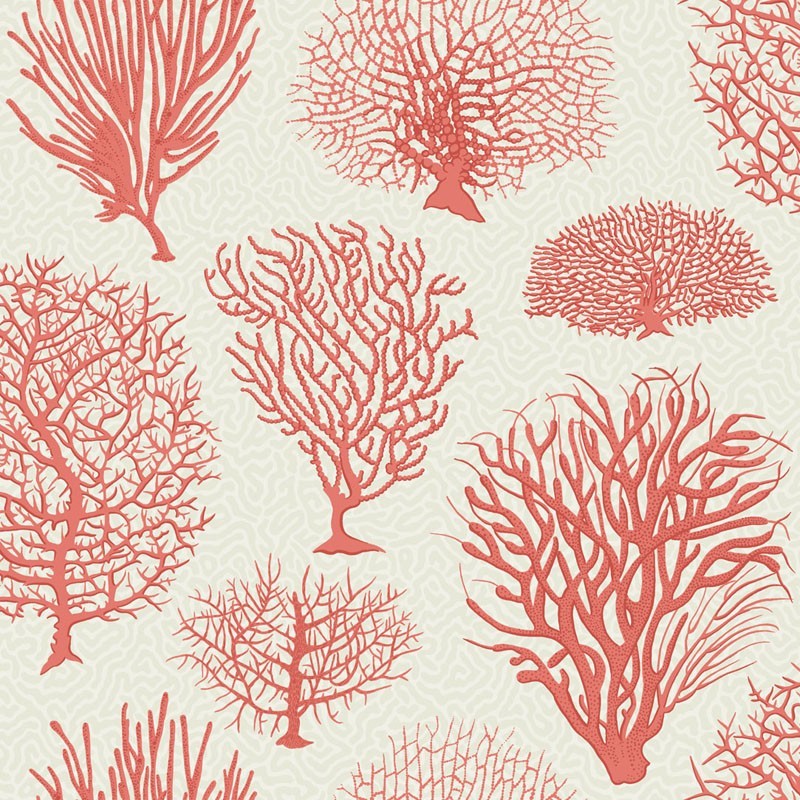 Papel Pintado Cole & Son Curio 107-2011