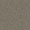 Papel Pintado Curio 107-9043