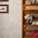 Papel Pintado Curio 107-10045