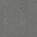 Papel Pintado Curio 107-10046