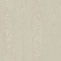 Papel Pintado Curio 107-10047