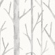 Papel Pintado Jannelli & Volpi Scalamandré Everett 26045