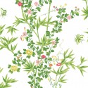 Scalamandré Jardin de Chine 26057 Papel Jannelli & Volpi