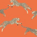 Scalamandré Leaping Cheetah 26017 Papel Jannelli & Volpi