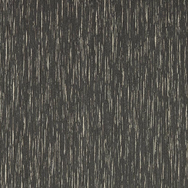 Papel pintado Clarke & Clarke Expressions Aster Charcoal Gilver W0205-01