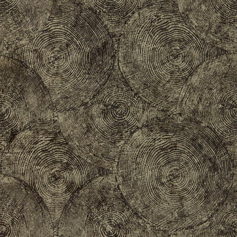 Papel pintado Clarke & Clarke Expressions Silvan Charcoal Gilver W0209-01