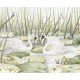 Mural infantil FDC Kikki Belle & Oliver Robins Spactacular Swans BR 4090 M