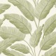 Borneo Tropicalia BORN106547003 Papel Caselio
