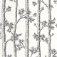 Papel pintado Caselio Automne BLD106120000