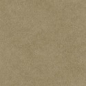 Tactus B00770 Papel Pintado Coordonné