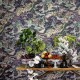 Papel pintado Cole & Son Shinrin Yoku Mountainscape 126-11039