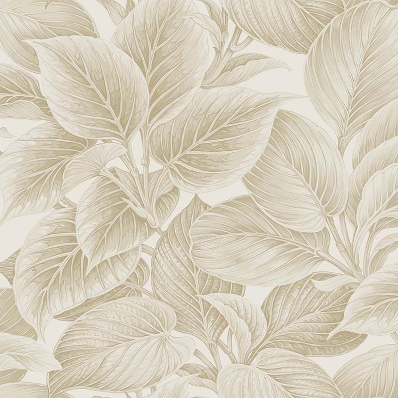 Papel pintado Wallquest  Paper & Ink Shades of White WS70305