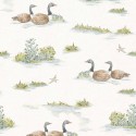 Cotswolds Mallard-Duck YSP0536 Papel Coordonné