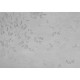 Mural Coordonne Central Saint Martins Rest Time Leaves reflection A00941