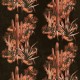 Papel pintado Coordonné Rest Time Grand Canyon Black A00903_N