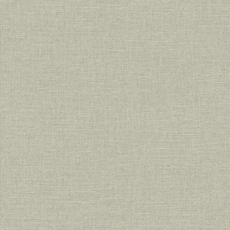 Jute Essentiel Uni JUT104017120 Papel Caselio