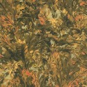 Funny Walls V 250-6070 Papel pintado Colowall