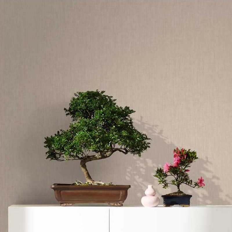Papel pintado Parati Forest FORE37
