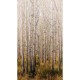 Mural Saint Honoré One Roll One Motif 2 Birch Tree 1861-A42601