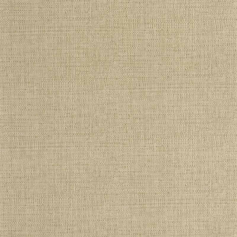 Papel Pintado Caselio Symphony Raphia SYM105977170