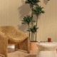 Papel Pintado Caselio Woodline Essentia WOD106851002