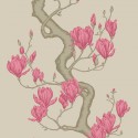 Classics 2 Magnolia Tree 128/1006 Papel pintado Cole & Son