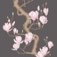 Papel pintado Cole & Son Classics 2 Magnolia Tree 128-1001