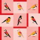 Papel pintado Coordonné Coco Dávez Colortherapills Like a Bird Pink C00138_V