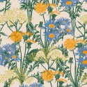 Coco Dávez Colortherapills C00102_V Papel Coordonné