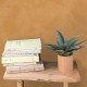 Papel pintado Caselio Chalk Uni JUT104010010