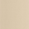 Natte 2 Uni Mat NAE2 10156 14 64 Papel Caselio