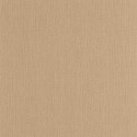 Natte 2 Uni Mat NAE2 10156 16 70 Papel Caselio