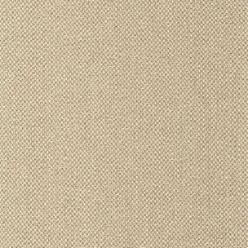 Papel pintado Caselio Natte 2 Uni Métallisé NAE2101577143