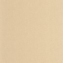 Natte 2 Uni Métallisé NAE2 10157 10 50 Papel Caselio