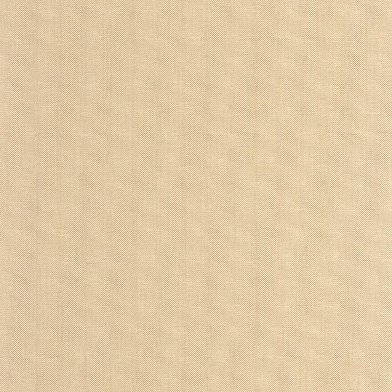 Papel pintado Caselio Natte 2 Uni Métallisé NAE2101571050