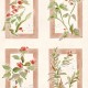 Papel pintado Coordonné Ybarra & Serret Sevilla Sta Cruz YSP0632