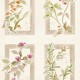 Papel pintado Coordonné Ybarra & Serret Sevilla Sta Cruz YSP0629