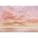 Damaskus Cumulus Clouds Peach D00159_N Mural Coordonné