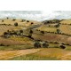 Mural Tres Tintas Solera Quijote Yellow M5203-2_N