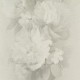 Breeze of Eden 44560 Página 31 Papel Pintado Iberostil
