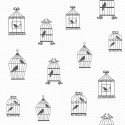 Joy 72114 Papel Infantil KT Exclusive