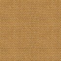 Sarape Yuca C00039_B Papel pintado Coordonné