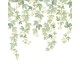 Mural Casadeco WonderWalls 3 Fruit du Houblon WDWT202317805NW