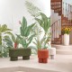 Mural Casadeco WonderWalls 3 Eden Tropical WDWT202337307V