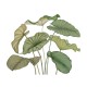 Mural Casadeco WonderWalls 3 Alocasia WDWT202227840NW