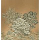 Mural Decorativo A Collection of Trees Painted TR71806M